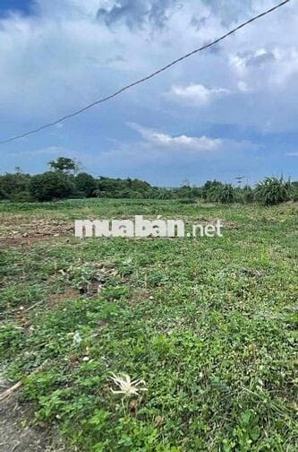 🏡 CHÍNH CHỦ CẦN BÁN ĐẤT TẠI XÃ CẨM ĐƯỜNG – LONG THÀNH – ĐỒNG NAI 🏡  📍