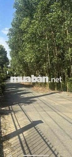 🔥 CƠ HỘI ĐẦU TƯ VÀNG – ĐỐI DIỆN CỔNG CHÍNH SÂN BAY QUỐC TẾ LONG THÀNH