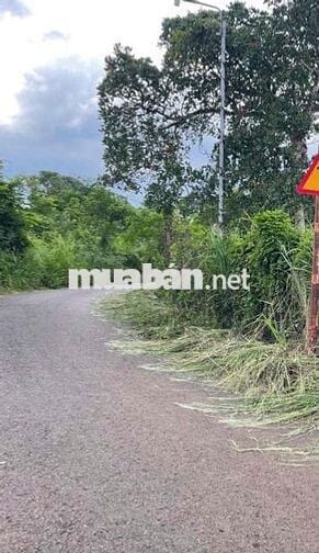 🏡 CHÍNH CHỦ CẦN BÁN ĐẤT TẠI XÃ CẨM ĐƯỜNG – LONG THÀNH – ĐỒNG NAI 🏡  📍