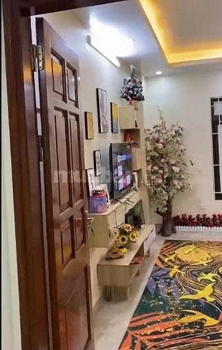 Cho thuê căn hộ 50m2, đủ nội thất phố Trần Điền, Hoàng Mai, Hà Nội