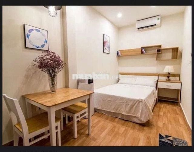 Tôi cần bán nhà Đào Tấn mặt ngõ ô tô chánh kinh doanh sầm uất.