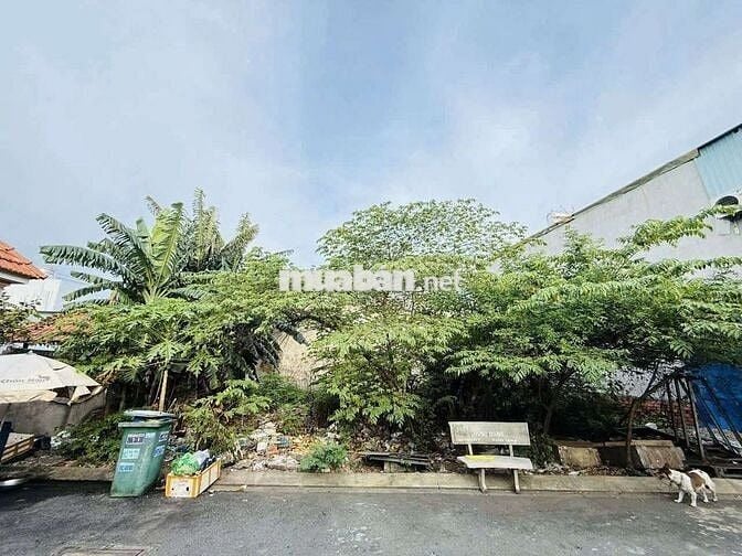 BÁN ĐẤT259M2 FULL THỔ- HXT- QUÁCH ĐIÊU GẦN DƯƠNG CÔNG KHI CHỈ 6,19 TỶ.