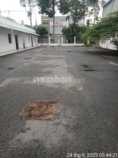 Nhà Xưởng kho ngay mặt tiền đường 70m. Diện tích 7.990 m2