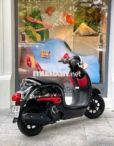 Honda Giorno 50 Kumamon