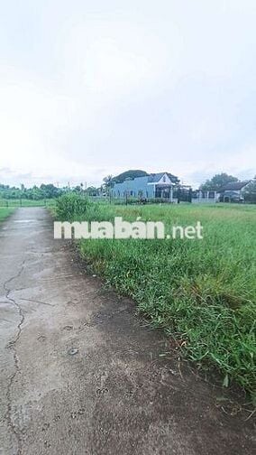 Bán gấp lô đất ngộp diện tích khủng đã lên thổ xây dựng thoải mái