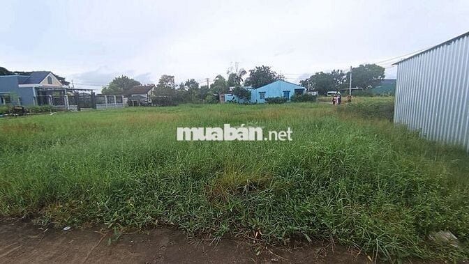 Bán gấp lô đất ngộp diện tích khủng đã lên thổ xây dựng thoải mái