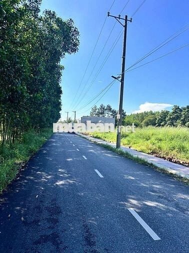 Đất Mt nhựa 10m, gần Phùng Hưng, 5x20, full thổ, gpxd 3 lầu, 1.05 tỷ