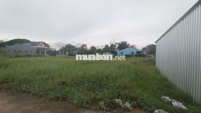 Bán gấp lô đất ngộp diện tích khủng đã lên thổ xây dựng thoải mái