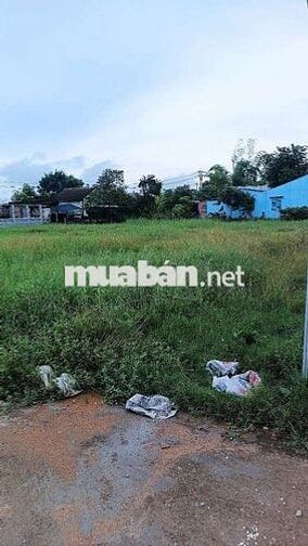 Bán gấp lô đất ngộp diện tích khủng đã lên thổ xây dựng thoải mái