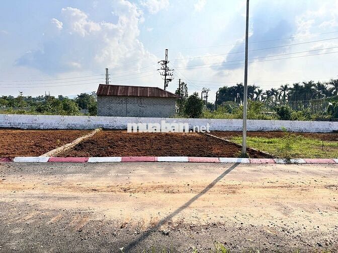 Bán lô đất sát trường Sĩ quan Lục Quân, hơn 2 tỷ