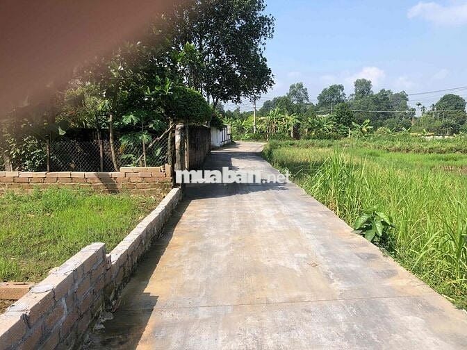 Chính Chủ Bán 137m2 Đất Sơn Tây - Hà Nội