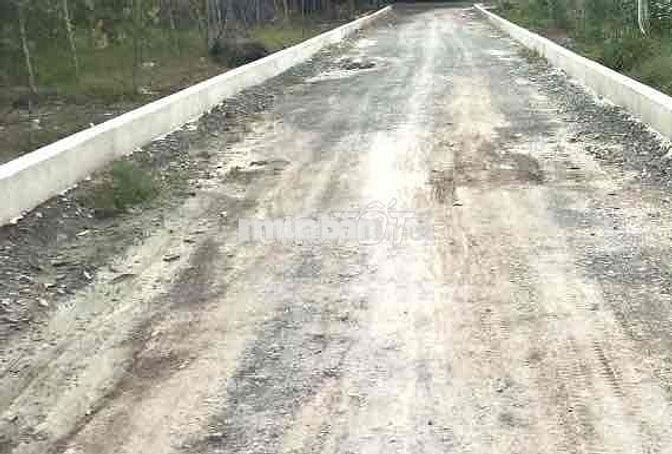Tôi chính chủ bán 1200m2 đất Bàu Bàng, TP Hồ Chí Minh