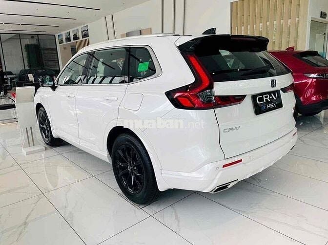 HONDA CRV e:HEV - CÓ XE GIAO - ƯU ĐÃI TẶNG PK