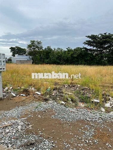 Đất cách SG 30km, 490 triệu/180m2, ngay TP Gò Công. SHR, thổ cư