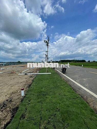 Chủ gửi bán lô đất Long Tân, Đất Đỏ, Bà Rịa Vũng Tàu