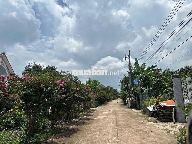 💥Bán nhanh đất mặt tiền DH507–250m² chỉ 420tr, sổ riêng, thổ cư 100m²!