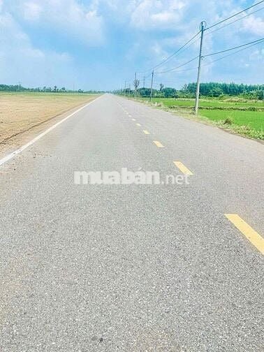 Đất Mặt Tiền đường DT765 Châu Đức - Hồ Chí Minh