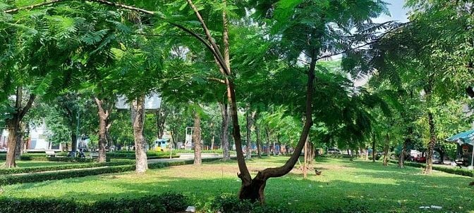 Cho thuê căn hộ CC Mười Mẫu (Bình Trưng)- DT: 44m2. Gần chợ, BV Q2.