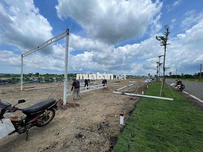 Chủ gửi bán lô đất ở Long Tân, Đất Đỏ, Bà Rịa Vũng Tàu