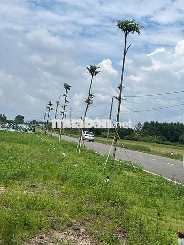 Bán Ngay Lô Đất Mặt Tiền Đường Nhựa Ngay Long Tân Bà Rịa Vũng Tàu