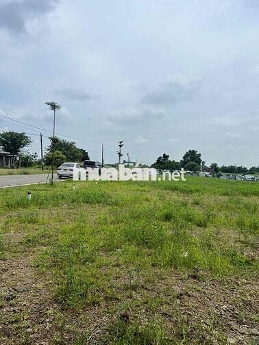 Bán Ngay Lô Đất Mặt Tiền Đường Nhựa Ngay Long Tân Bà Rịa Vũng Tàu