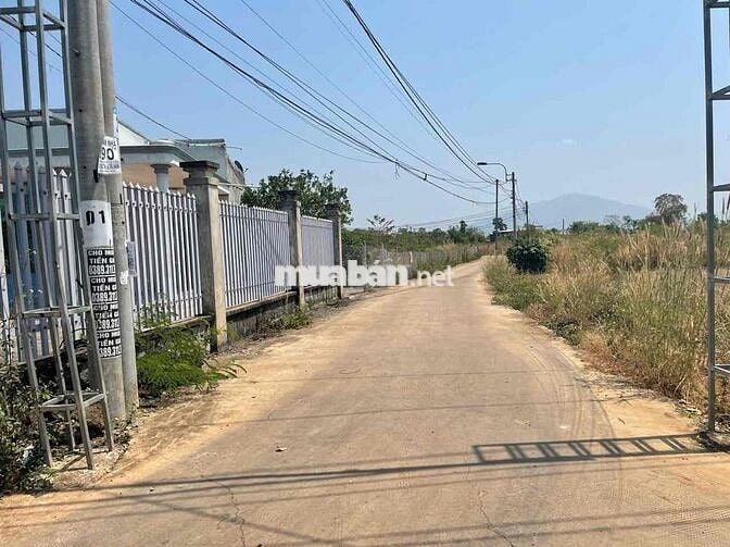 cần bán 1 sào 2 mặt đường bê tông cách nhựa số 6 Bàu Trâm 200m