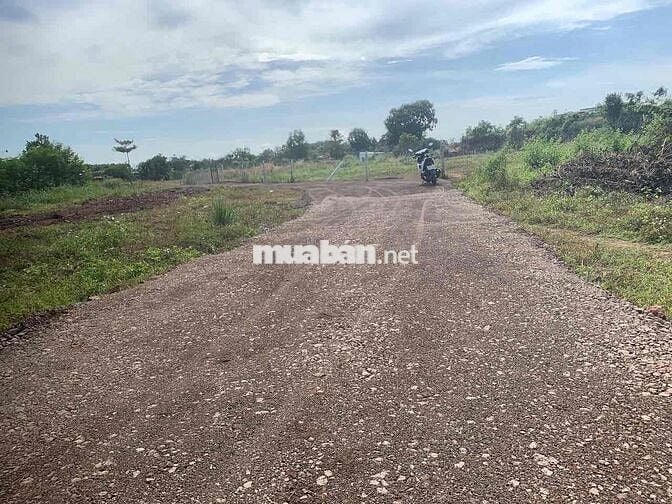 cần bán 1 sào 2 mặt đường bê tông cách nhựa số 6 Bàu Trâm 200m