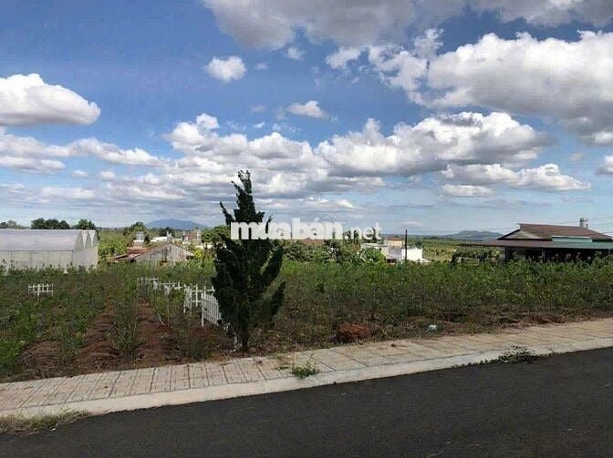 Đất Nghĩ Dưỡng Lộc Quảng Bảo Lộc