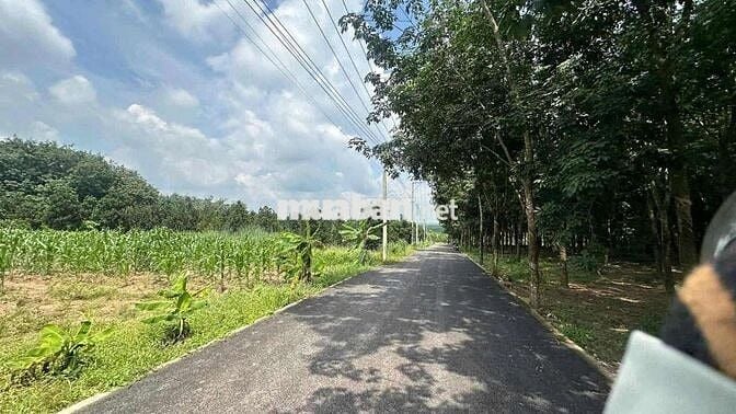 Đất 250m2, 1 xẹt đường ĐH507 450tr