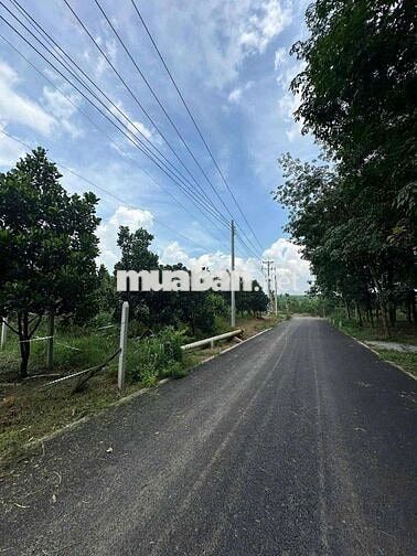 Đất 250m2, 1 xẹt đường ĐH507 450tr