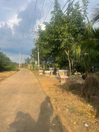 Chuẩn bị xuất cảnh đi nước ngoài cần bán cắt lỗ mảnh đất 14464m2 