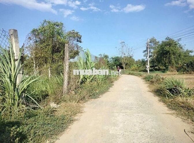 Đất Quy Đức, Bình Chánh 925tr/88m2. Kế Đoàn Nguyễn Tuấn. SHR, full thổ