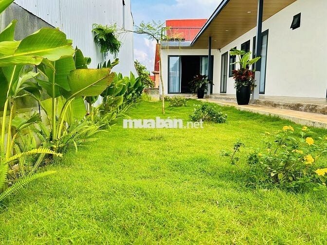 NHÀ LỮ GIA - BẢO LỘC - DT 460M2 (10.6Mx44Mx Nở Hậu) SẴN THỔ CƯ