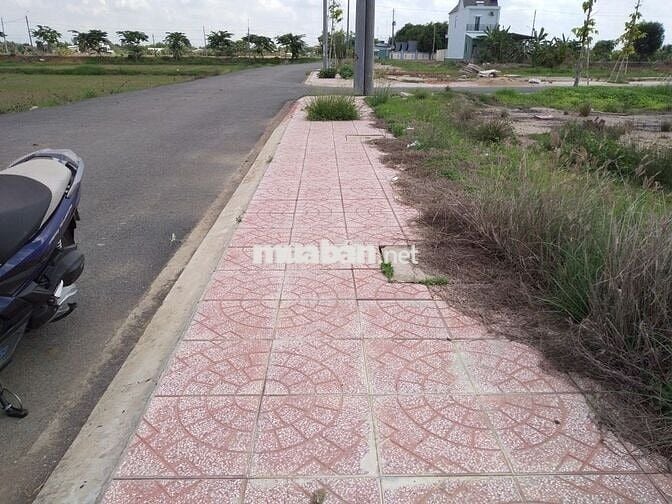 900 triệu ( còn Tl ) Thổ cư 123m2 - TT. Cần Đước - Sổ riêng - MT 7m