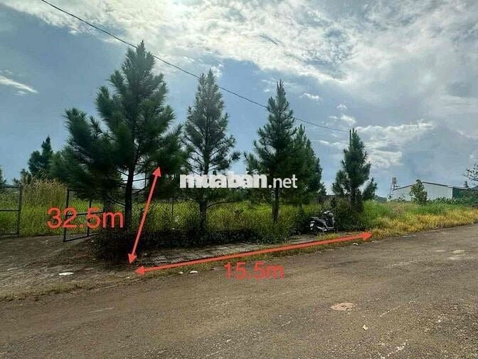 2 lô đất mặt tiền đường Tản Đà tại xã Đạm Bri, Bảo Lộc, Lâm Đồng