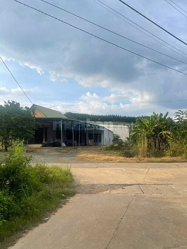 Chuẩn bị xuất cảnh đi nước ngoài cần bán cắt lỗ mảnh đất 14464m2 