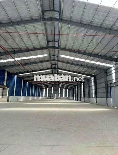 CHO  THUÊ  KHO  XƯỞNG ( 1800m2)  ĐƯỜNG  HỒ HỌC   LÃM.  P.16.  QUẬN  8