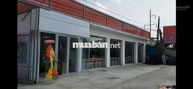 BÁN ĐẤT DIỆN TÍCH 2300M2 THỔ CƯ, MẶT TIỀN NGANG 55M, BẾN LỨC, LONG AN