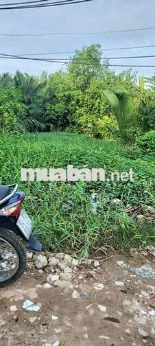 CHÍNH CHỦ CẦN BÁN Tại đường Vườn Táo, Phường 7, Quận 8, HCM