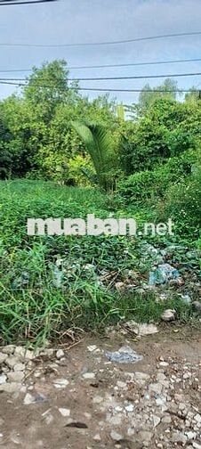 CHÍNH CHỦ CẦN BÁN Tại đường Vườn Táo, Phường 7, Quận 8, HCM