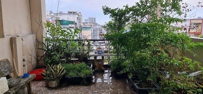 Cho thuê nhà mặt tiền Phú Thuận, Q.7, 4x20m, 3 lầu, giá 30 triệu 