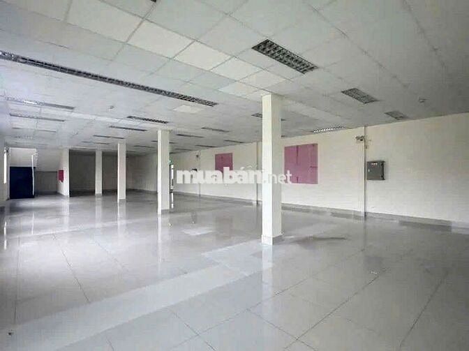 Cho Thuê Nhà Làm Kho / Xưởng Đường Đặng Thùy Trâm, Bình Thạnh (8x20m)