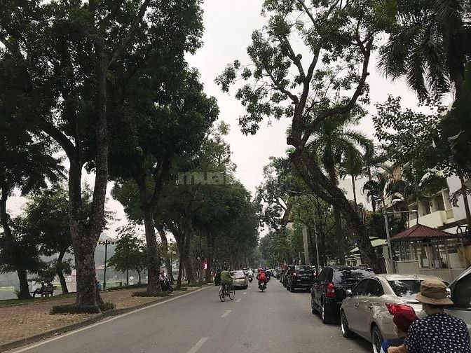 Bán 220m2 mặt phố Bà Triệu, Hai Bà Trưng, Hà Nội