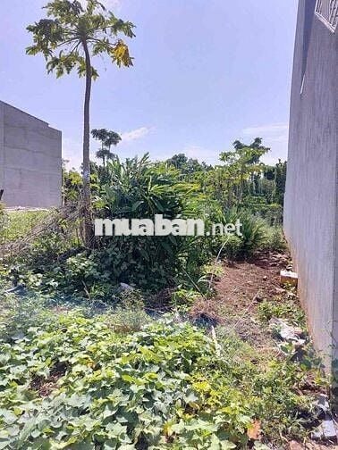 1 LÔ *** ĐẤT THỔ CƯ HẺM 327 YMOAL PHƯỜNG BUÔN MA THUỘT