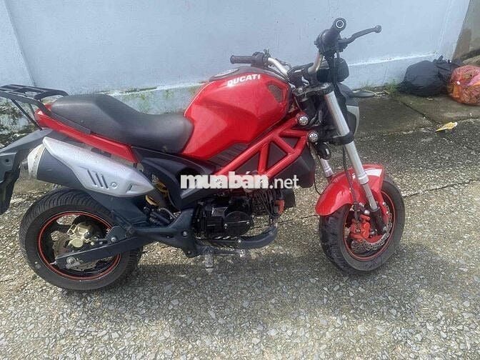 🌈 Ducati Monter Mini 2021