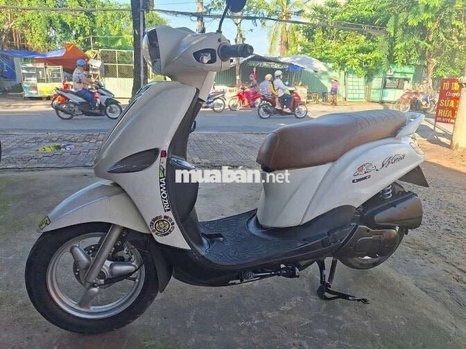 Nozza Fi biển TP muốn giao lưu bù trừ