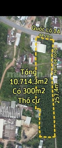 BÁN ĐẤT VỊ TRÍ VÀNG QL1A DO ĐI ĐỊNH CƯ NƯỚC NGOÀI