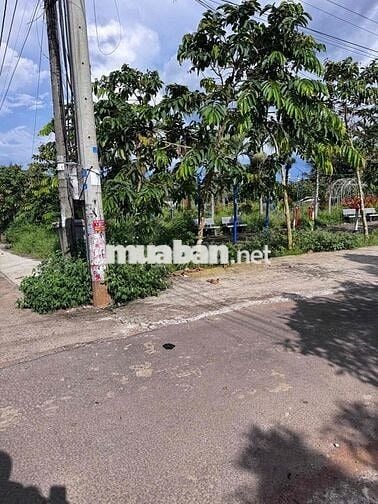 Bán gấp 140m2 thổ cư sổ riêng, đường Tín Nghĩa- Bình Lộc, Đồng Nai