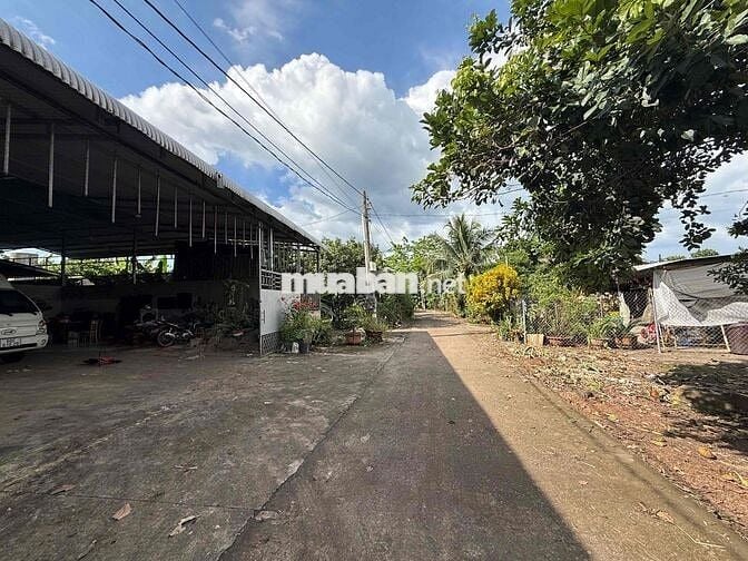 Bán gấp 140m2 thổ cư sổ riêng, đường Tín Nghĩa- Bình Lộc, Đồng Nai