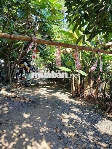 Bán đất Thạnh Lộc 12. DT 7m x 28m,mặt bờ rạch 5m giá 5.6 tỷ